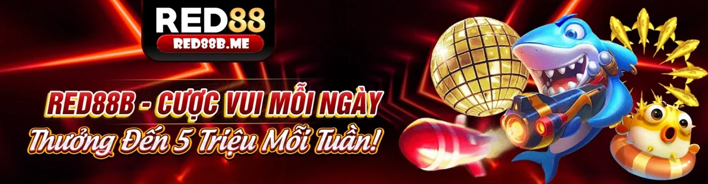 Hình ảnh đại diện cho các quy định và chính sách của HK88